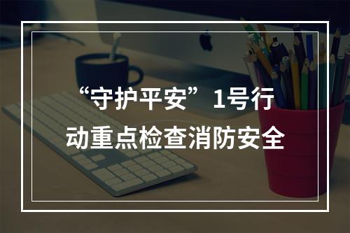 “守护平安”1号行动重点检查消防安全