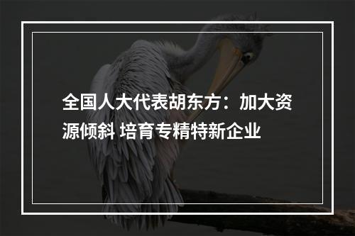 全国人大代表胡东方：加大资源倾斜 培育专精特新企业