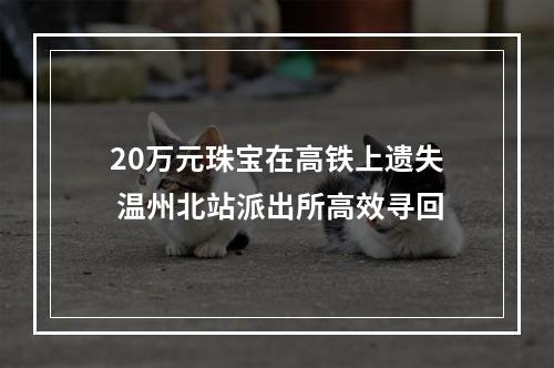 20万元珠宝在高铁上遗失 温州北站派出所高效寻回