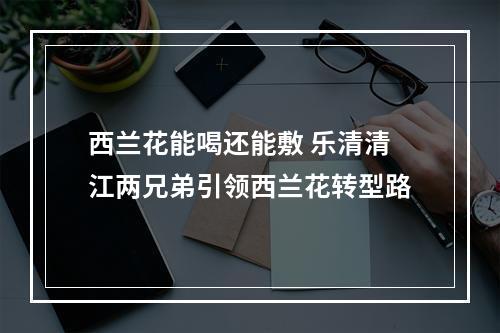 西兰花能喝还能敷 乐清清江两兄弟引领西兰花转型路