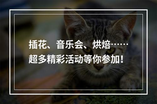 插花、音乐会、烘焙……超多精彩活动等你参加！