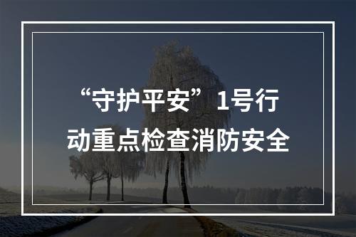 “守护平安”1号行动重点检查消防安全