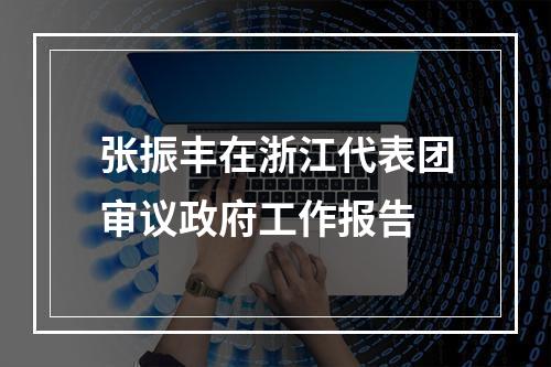 张振丰在浙江代表团审议政府工作报告