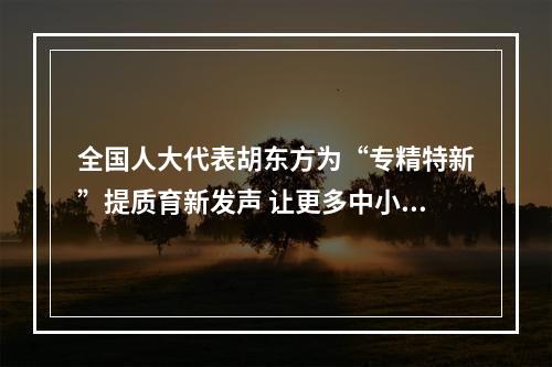 全国人大代表胡东方为“专精特新”提质育新发声 让更多中小企业 “瞪羚飞渡”