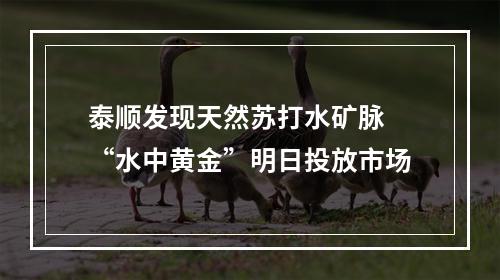 泰顺发现天然苏打水矿脉 “水中黄金”明日投放市场