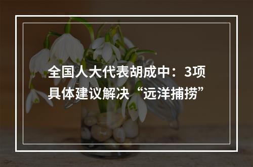 全国人大代表胡成中：3项具体建议解决“远洋捕捞”