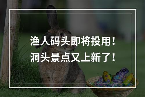 渔人码头即将投用！洞头景点又上新了！