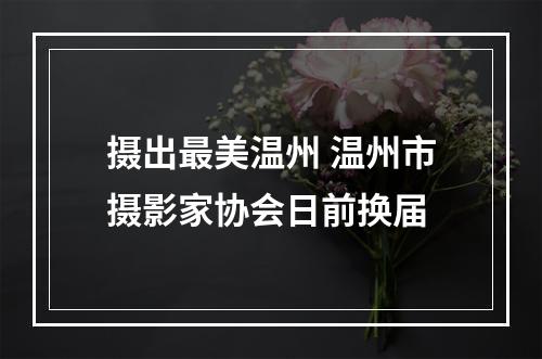 摄出最美温州 温州市摄影家协会日前换届