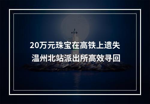 20万元珠宝在高铁上遗失 温州北站派出所高效寻回