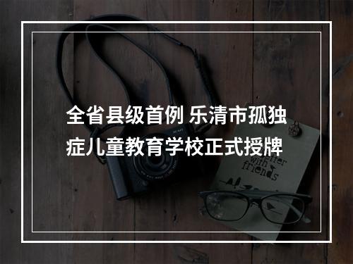 全省县级首例 乐清市孤独症儿童教育学校正式授牌