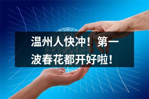 温州人快冲！第一波春花都开好啦！