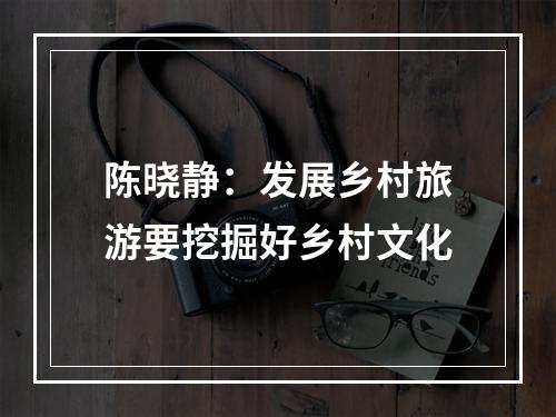 陈晓静：发展乡村旅游要挖掘好乡村文化