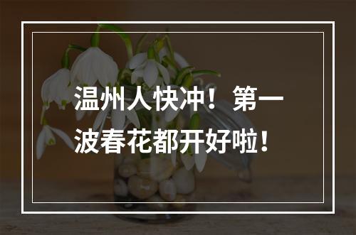 温州人快冲！第一波春花都开好啦！