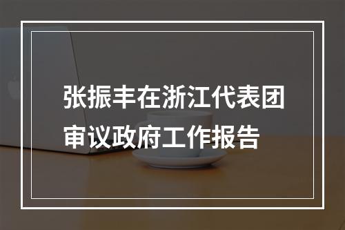 张振丰在浙江代表团审议政府工作报告