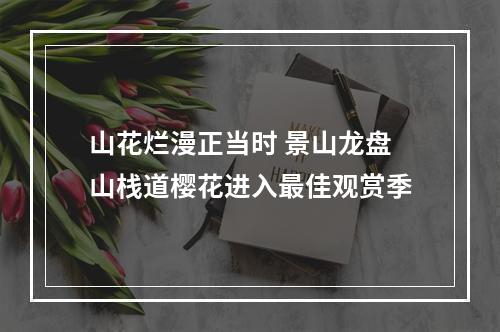 山花烂漫正当时 景山龙盘山栈道樱花进入最佳观赏季