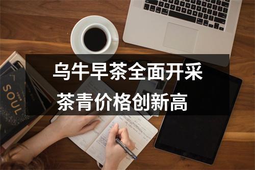 乌牛早茶全面开采 茶青价格创新高