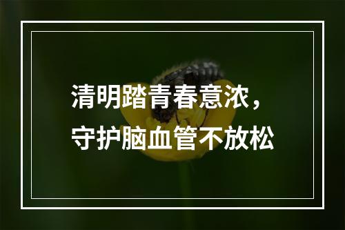 清明踏青春意浓，守护脑血管不放松