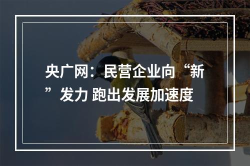 央广网：民营企业向“新”发力 跑出发展加速度