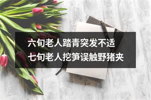 六旬老人踏青突发不适 七旬老人挖笋误触野猪夹