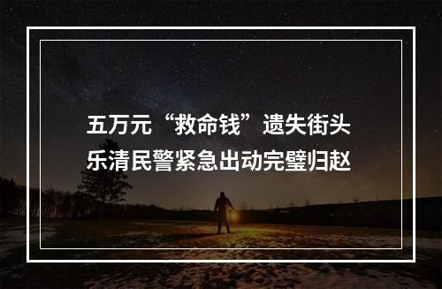 五万元“救命钱”遗失街头 乐清民警紧急出动完璧归赵