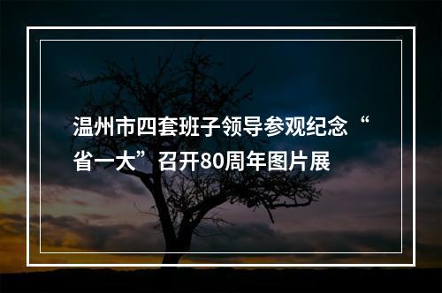 温州市四套班子领导参观纪念“省一大”召开80周年图片展