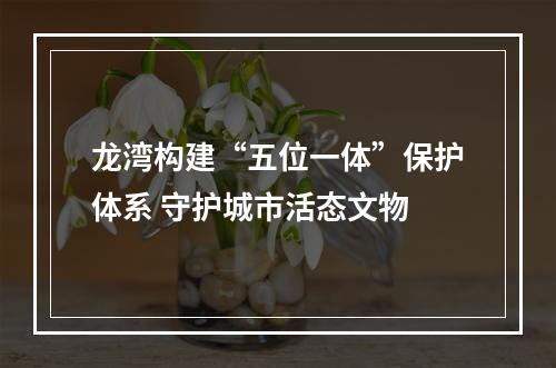 龙湾构建“五位一体”保护体系 守护城市活态文物