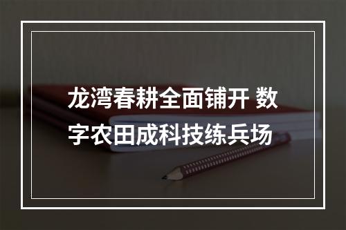 龙湾春耕全面铺开 数字农田成科技练兵场