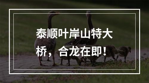 泰顺叶岸山特大桥，合龙在即！