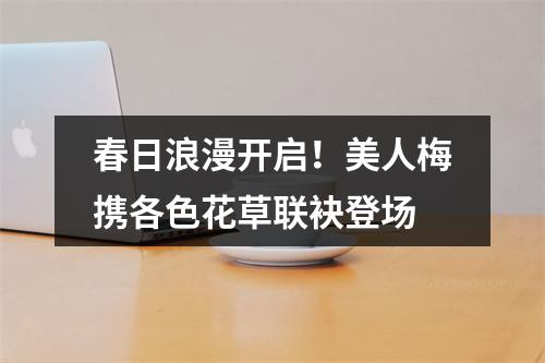 春日浪漫开启！美人梅携各色花草联袂登场