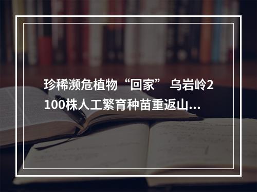 珍稀濒危植物“回家” 乌岩岭2100株人工繁育种苗重返山林