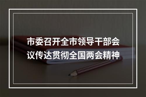 市委召开全市领导干部会议传达贯彻全国两会精神