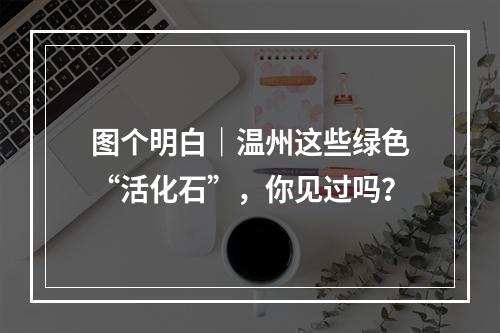 图个明白｜温州这些绿色“活化石”，你见过吗？