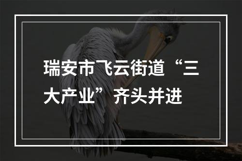 瑞安市飞云街道“三大产业”齐头并进