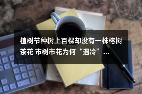 植树节种树上百棵却没有一株榕树茶花 市树市花为何“遇冷”？