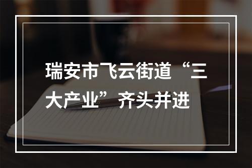 瑞安市飞云街道“三大产业”齐头并进