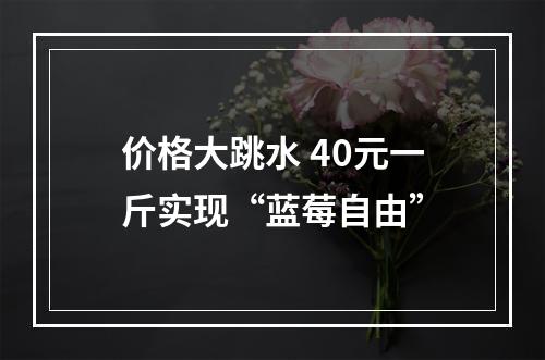价格大跳水 40元一斤实现“蓝莓自由”
