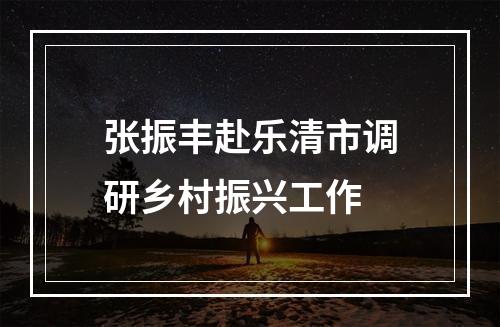 张振丰赴乐清市调研乡村振兴工作