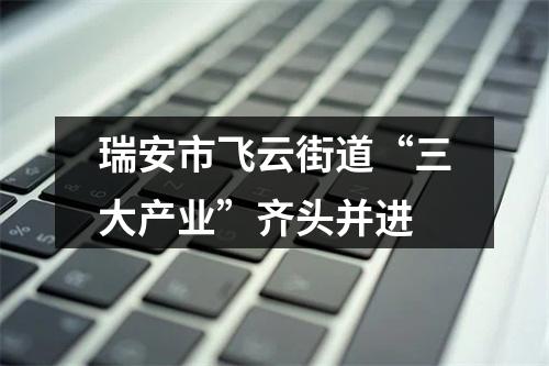 瑞安市飞云街道“三大产业”齐头并进