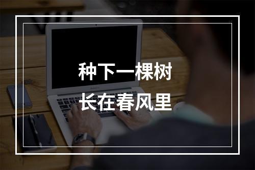 种下一棵树 长在春风里