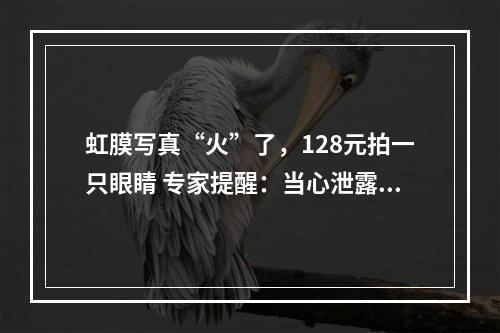 虹膜写真“火”了，128元拍一只眼睛 专家提醒：当心泄露个人生物信息！