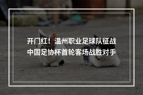 开门红！温州职业足球队征战中国足协杯首轮客场战胜对手