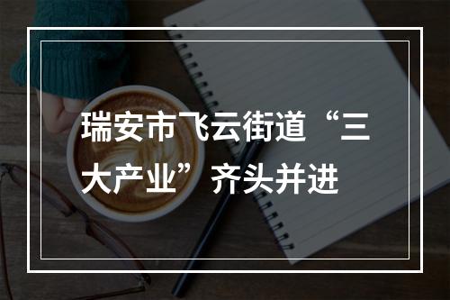 瑞安市飞云街道“三大产业”齐头并进