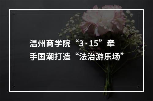 温州商学院“3·15”牵手国潮打造“法治游乐场”