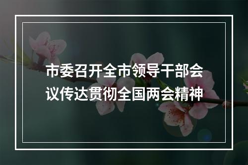 市委召开全市领导干部会议传达贯彻全国两会精神