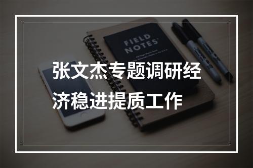 张文杰专题调研经济稳进提质工作