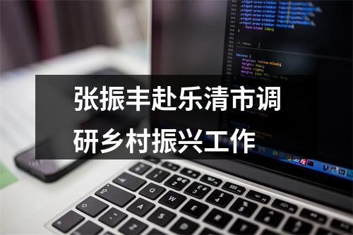 张振丰赴乐清市调研乡村振兴工作