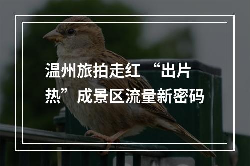 温州旅拍走红 “出片热”成景区流量新密码