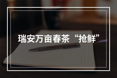 瑞安万亩春茶“抢鲜”