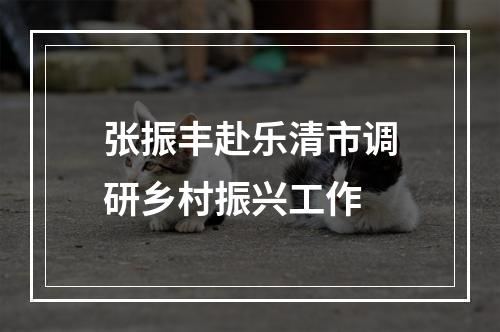 张振丰赴乐清市调研乡村振兴工作