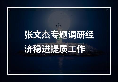 张文杰专题调研经济稳进提质工作